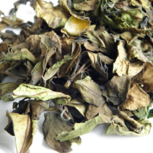 #healthandtea winter mountain white tea#healthandtea winter mountain white tea -1