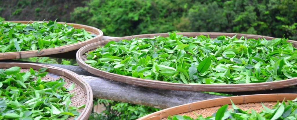 Loose-Leaf Tea