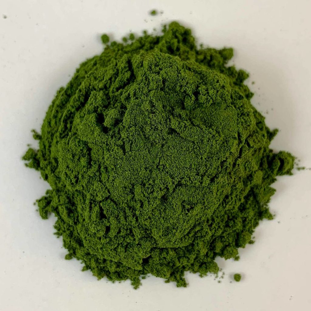 Matcha