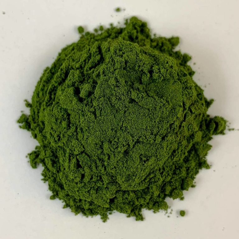 Matcha